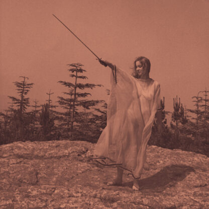 Unknown Mortal Orchestra - II (Vinilo)