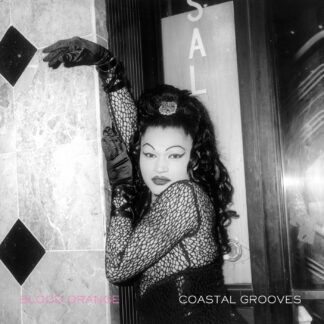 RESERVA | Blood Orange – Coastal Grooves (Vinilo)