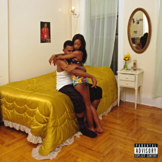 RESERVA | Blood Orange - Freetown Sound (Vinilo 2LP)