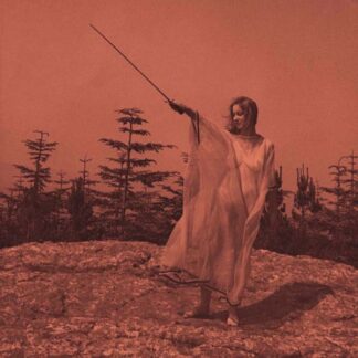 RESERVA | Unknown Mortal Orchestra – II (Vinilo)