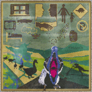 RESERVA | Crumb – Amama (Vinilo)