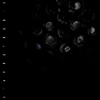 RESERVA | Crumb - Ice Melt (Vinilo)