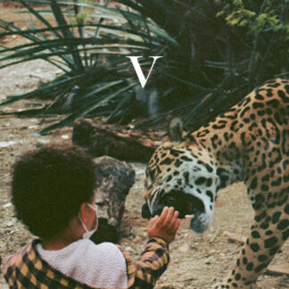 RESERVA | Unknown Mortal Orchestra - V (Vinilo 2LP)