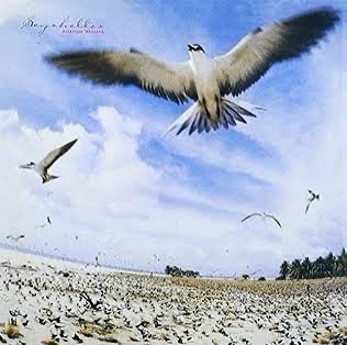 RESERVA | Masayoshi Takanaka - Seychelles (CD)