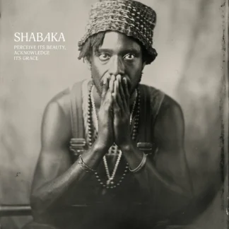 Shabaka - Perceive Its Beauty, Acknowledge Its Grace (Vinilo)